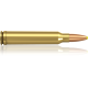 Norma náboje Plastic Point .300 Win. Mag. 180 grain /11,7 g