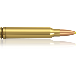 Norma náboje Plastic Point .300 Win. Mag. 180 grain /11,7 g
