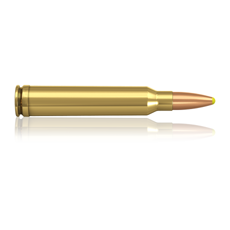 Norma náboje Plastic Point .300 Win. Mag. 180 grain /11,7 g