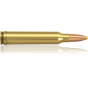 Norma náboje Plastic Point .300 Win. Mag. 180 grain /11,7 g