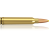 Norma náboje Plastic Point .300 Win. Mag. 180 grain /11,7 g