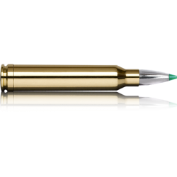 Norma náboje .300 Win. Mag. 165 grain Ecostrike 10,7g