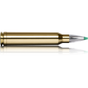 Norma náboje Ecostrike .300 Win. Mag. 165 grain /10,7 g