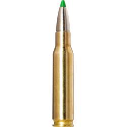 Norma náboje Ecostrike .308 Win 165gr/10,7g
