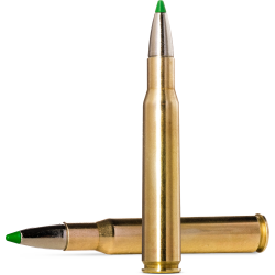 Norma náboje Ecostrike  30-06 Spring 165gr/10,7g